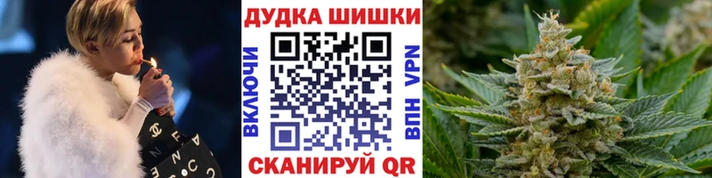 где найти наркотики  Щигры  darknet состав  Бошки Шишки VHQ 